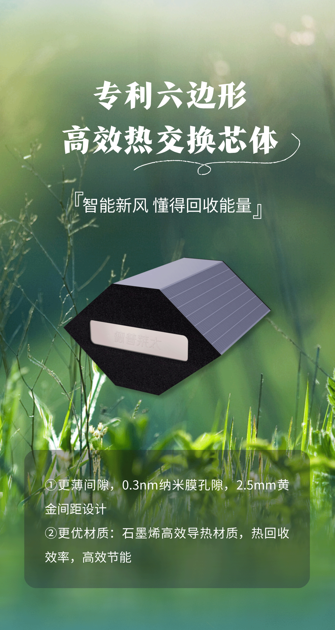 副本_寒露主題合成風(fēng)海報(bào)__2024-10-21+14_06_57_01.gif